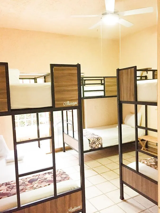 بيت شباب Hostalife غوادالاجارا
